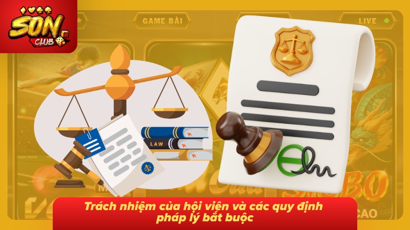 Miễn Trừ Trách Nhiệm Sonclub 5 Trách nhiệm hội viên cùng những quy định pháp lý cần tuân thủ